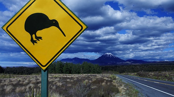 ¡Atención a los Kiwis!