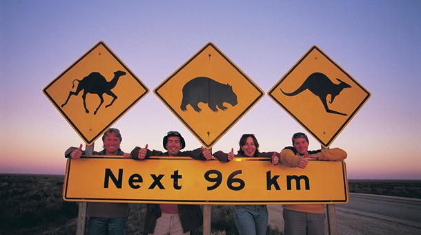¡Atención fauna australiana!