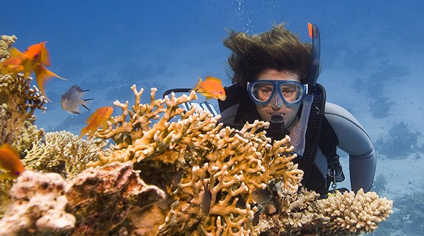 Curso de buceo Curso de buceo