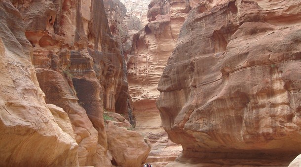 Desierto, Petra