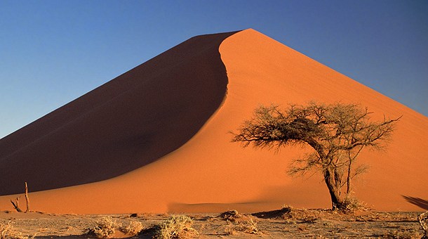 Las dunas de Sossusvlei pueden llegar alcanzar los 300 metros de altura Las dunas de Sossusvlei pueden llegar alcanzar los 300 metros de altura