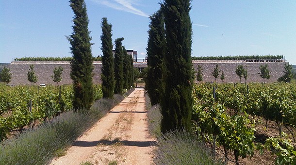 Hacienda Abascal 
