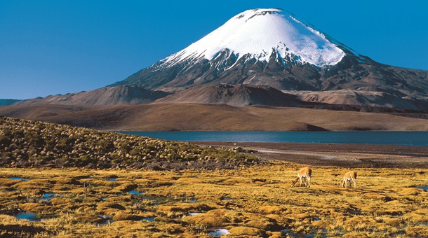 Lago Chungará Lago Chungará