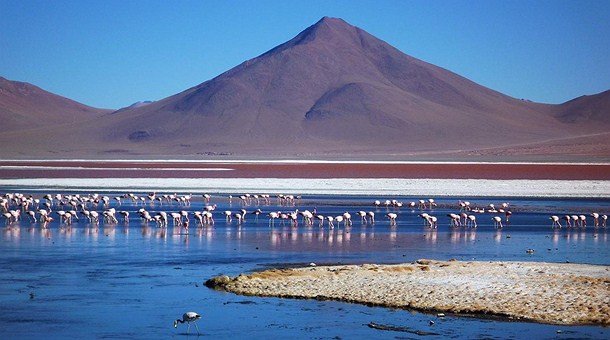 Laguna colorada 