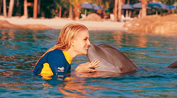 Nadando con delfines en Disney World, Orlando Nadando con delfines en Disney World, Orlando
