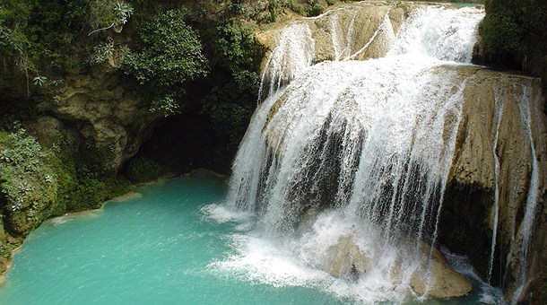 Naturaleza en vivo