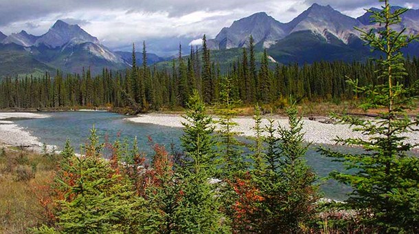 Parque Nacional Mount Robson, Jasper Parque Nacional Mount Robson, Jasper