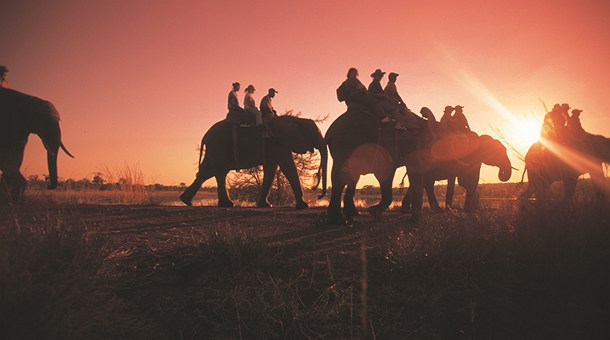 Safari en elefante al atardecer
