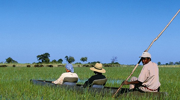 Safari en Mokoro por el Delta del Okavango 