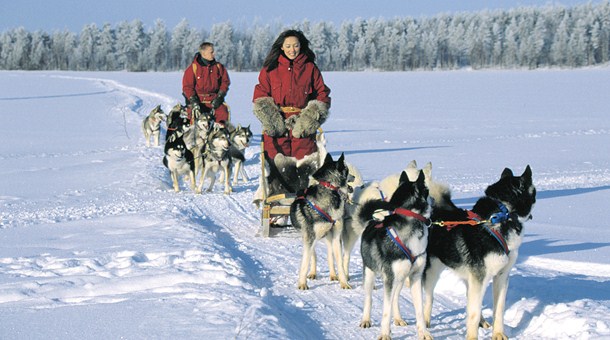 Surcando el hielo en trineo, Saariselkä Surcando el hielo en trineo, Saariselkä