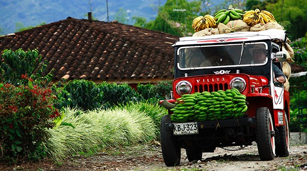 Trabajando en el campo