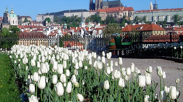 Vista del Castiilo de la Catedral de San Vito. Praga