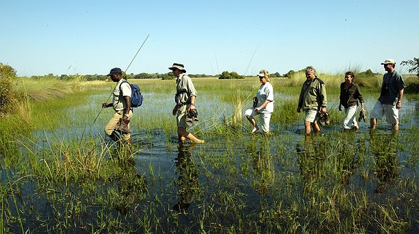 Walking Safari por el Okavango