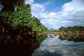 Amazonas