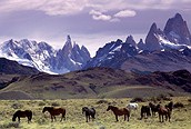 Los Andes, Patagonia argentina