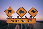 ¡Atención fauna australiana!