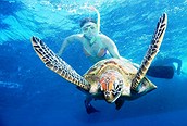 Buceo en Fiji 