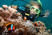 Buceo en la Gran Barrera de Coral
