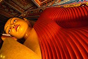 Buda en Thailandia