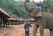 Campamento de Elefantes, Chiang Mai