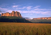 Canaima 