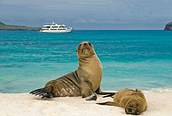 Descansando en las Islas Galápagos