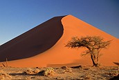 Las dunas de Sossusvlei pueden llegar alcanzar los 300 metros de altura