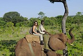 En Zimbabwe es posible montar a lomos de un elefante