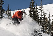 Esquiador entre los árboles, Keystone