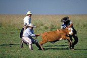 Gauchos argentinos