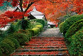 Jardín en Otoño, Kyoto