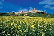 Mdina