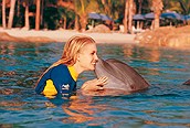 Nadando con delfines en Disney World, Orlando