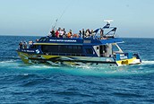 Navegación en Kaikoura
