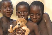 Niños de St. Louis