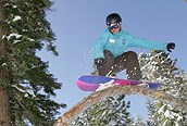 Northstar grindando árbol, Lake Tahoe