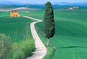 Paisaje de La Toscana 