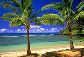 Paisaje Tropical, Hawaii