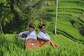 Pareja ataviada con los trajes típicos balineses