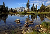 Parque de Yosemite 