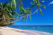 Playas de Fiji 