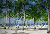 Punta Cana