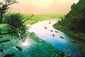 Río Mekong