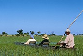 Safari en Mokoro por el Delta del Okavango 