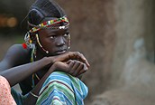Senegaleses 
