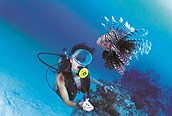 Submarinismo, Bora Bora