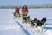 Surcando el hielo en trineo, Saariselkä