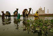 Taj Mahal desde el río Yamuna, Agra 