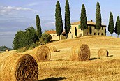 La Toscana
