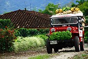 Trabajando en el campo
